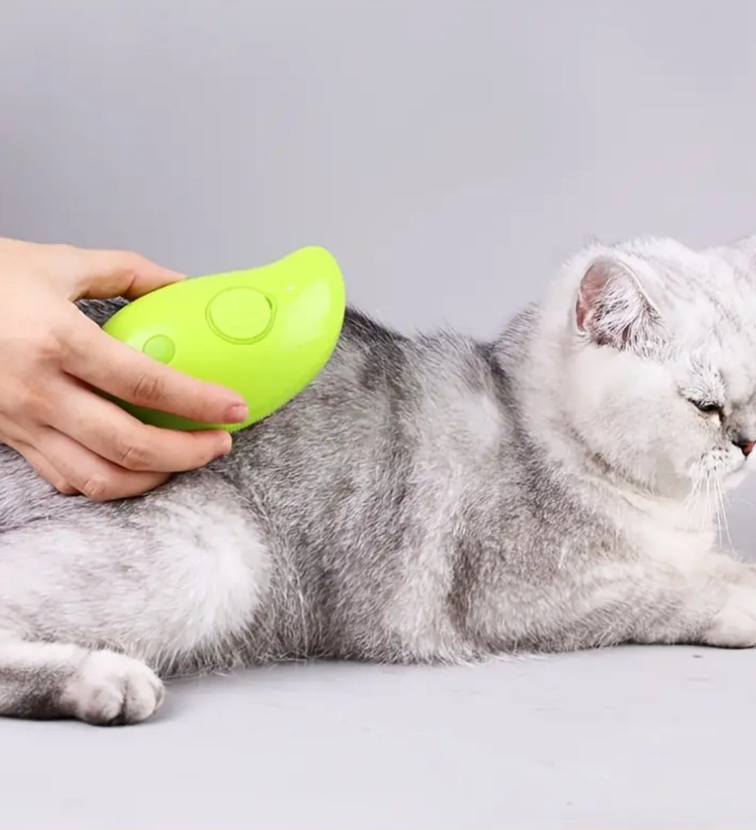 Peine para eliminar pelo flotante en gatos